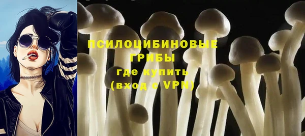 mix Богородицк