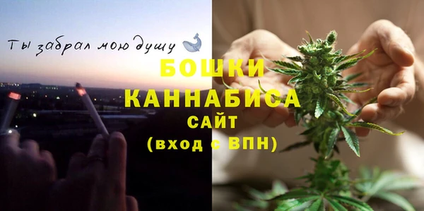 mix Богородицк
