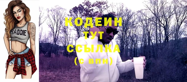 mix Богородицк