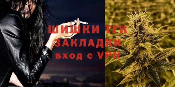 твердый Богданович