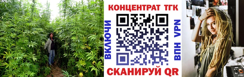 где найти   Северск  Дистиллят ТГК THC oil 
