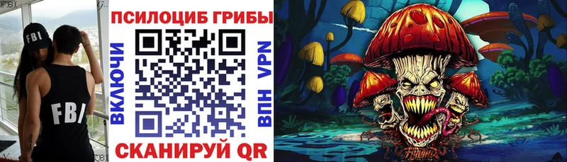 blacksprut как зайти Северск Галлюциногенные грибы Psilocybe где купить наркотик